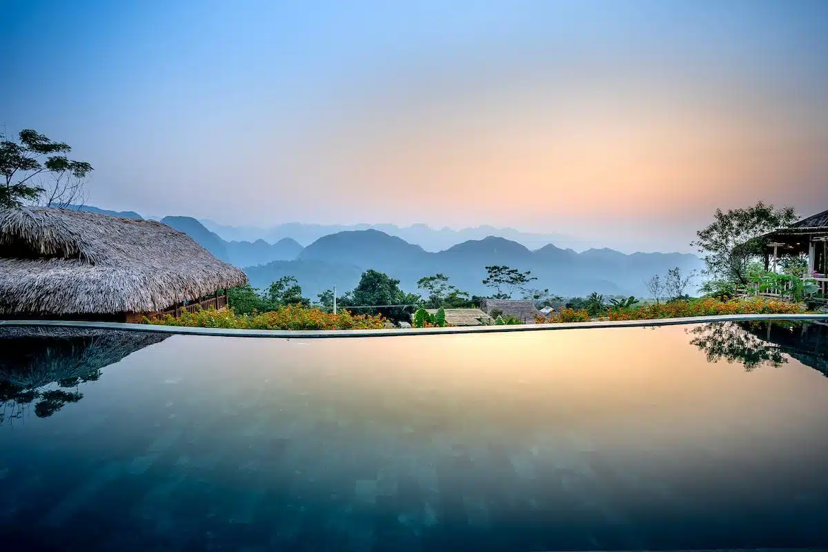 piscine écologique
