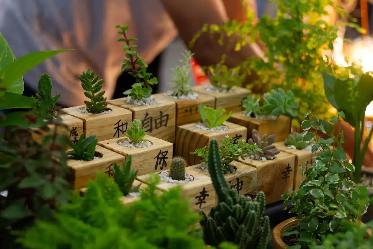 jardin apaisant