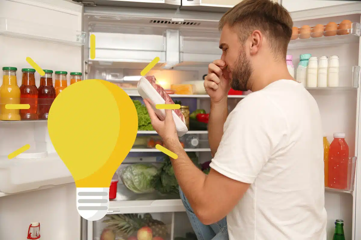 odeurs frigo