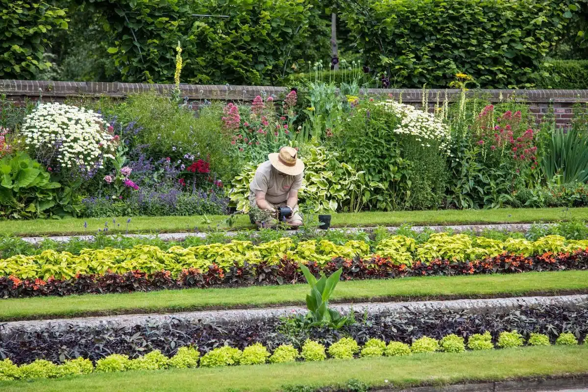 jardinier auto-entrepreneur