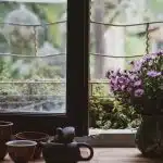Comment bien choisir ses fenêtres ?
