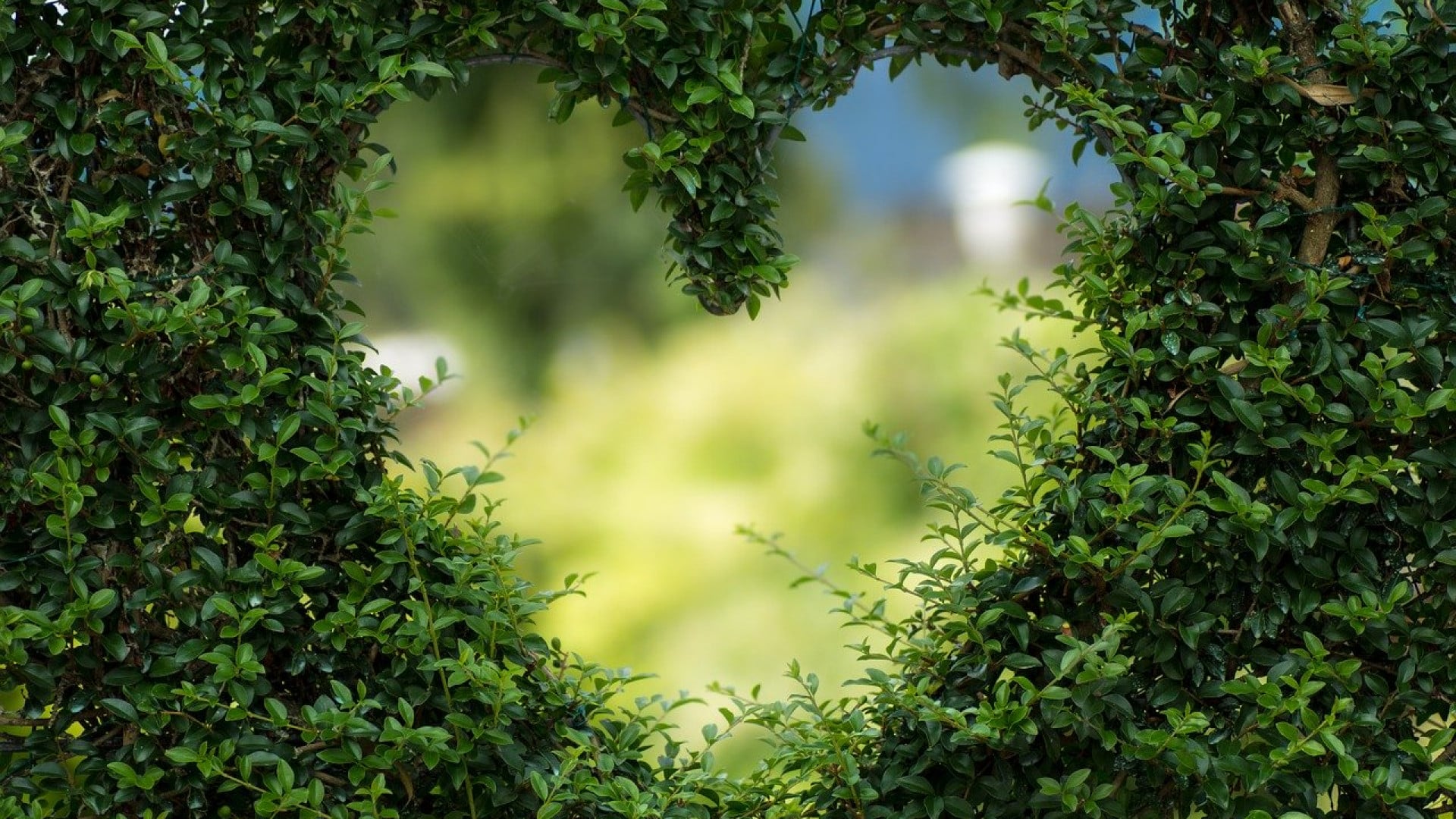 Entretien de jardin : quelques astuces pour réussir