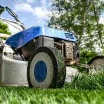 Espaces verts : pourquoi faut-il faire appel à un professionnel ?