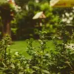 Bordure de jardin